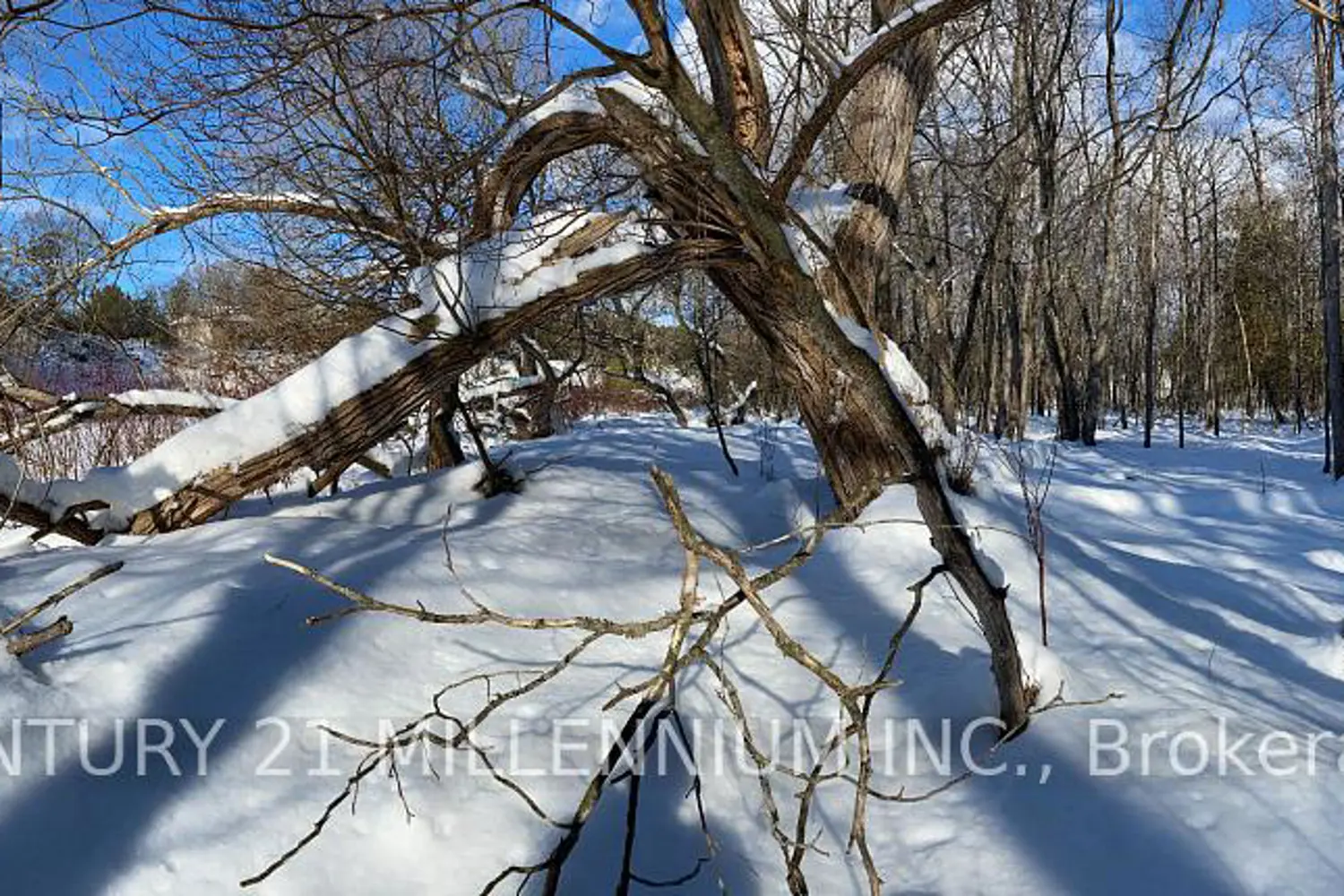 Additional image 13 of 11 Knox Road