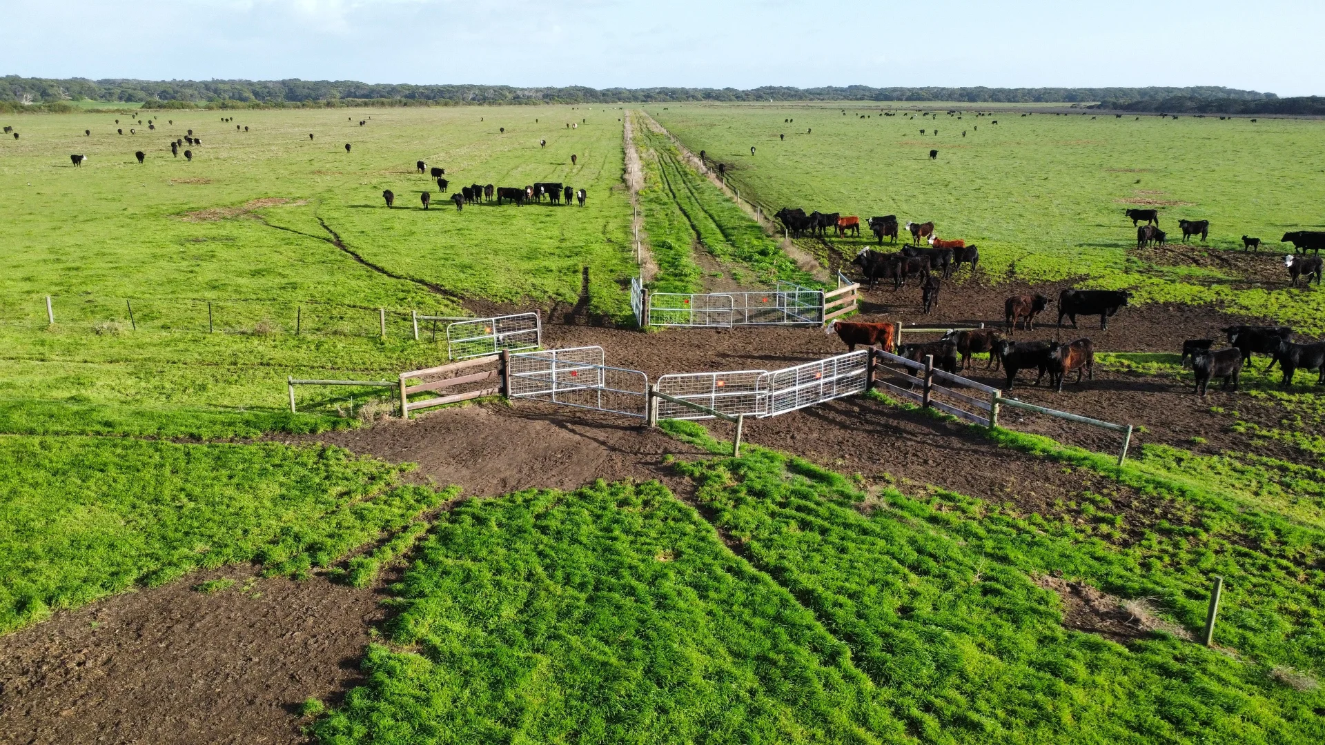 Additional image 16 of 703 Bog Lane, Nora Creina SA 5276