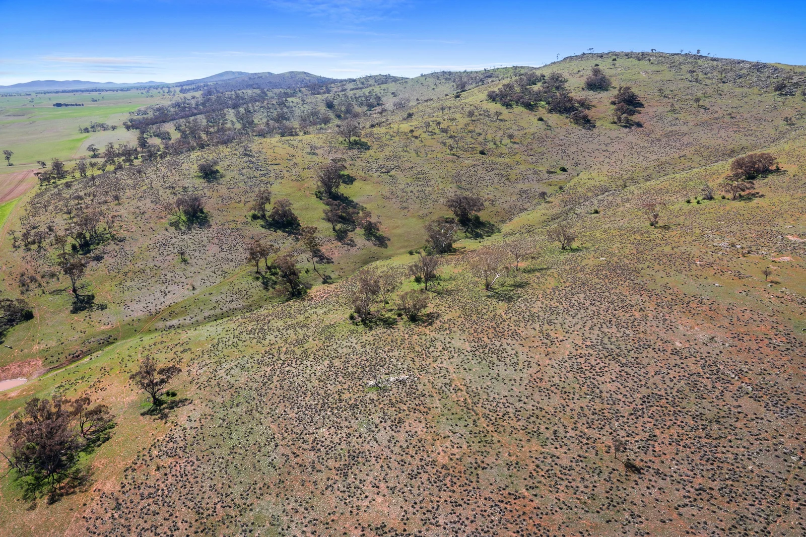 Additional image 16 of 235e Appila-Tarcowie Road, Tarcowie SA 5431