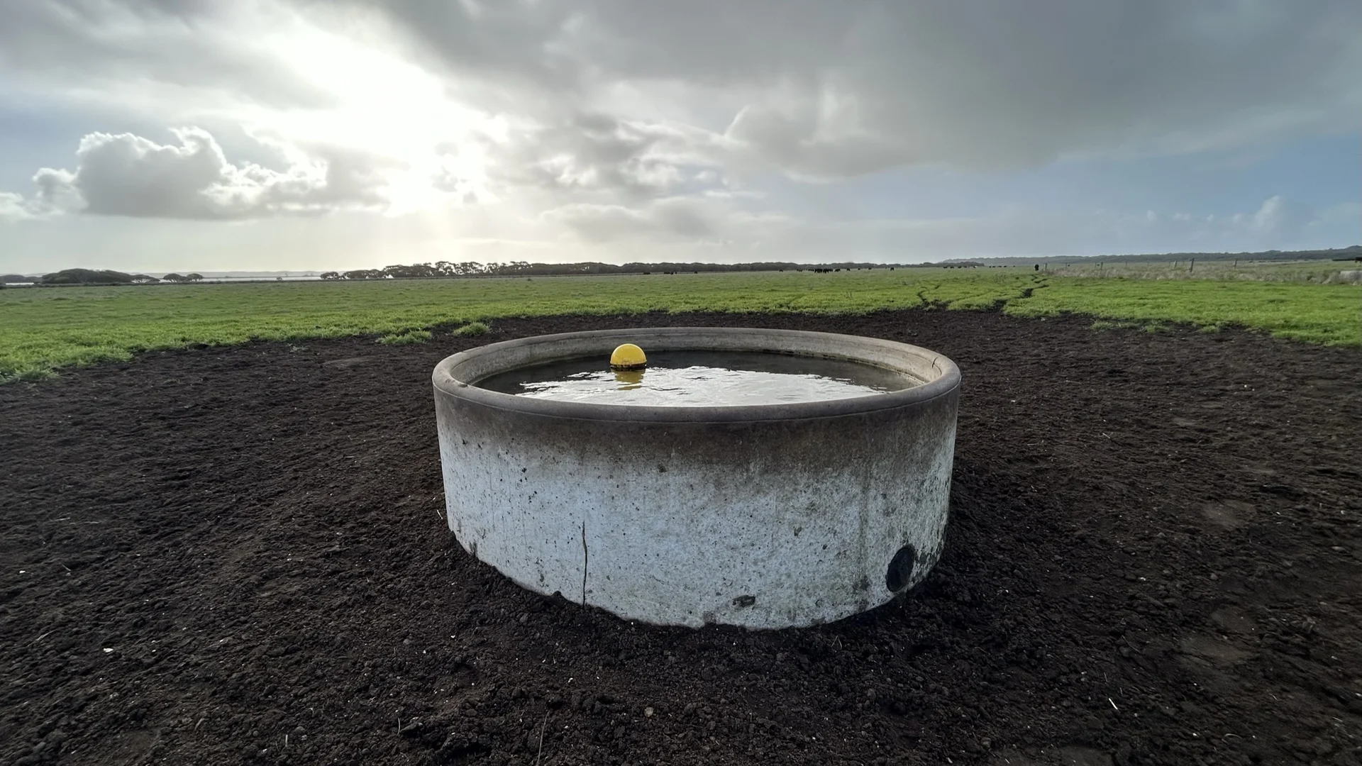 Additional image 13 of 703 Bog Lane, Nora Creina SA 5276