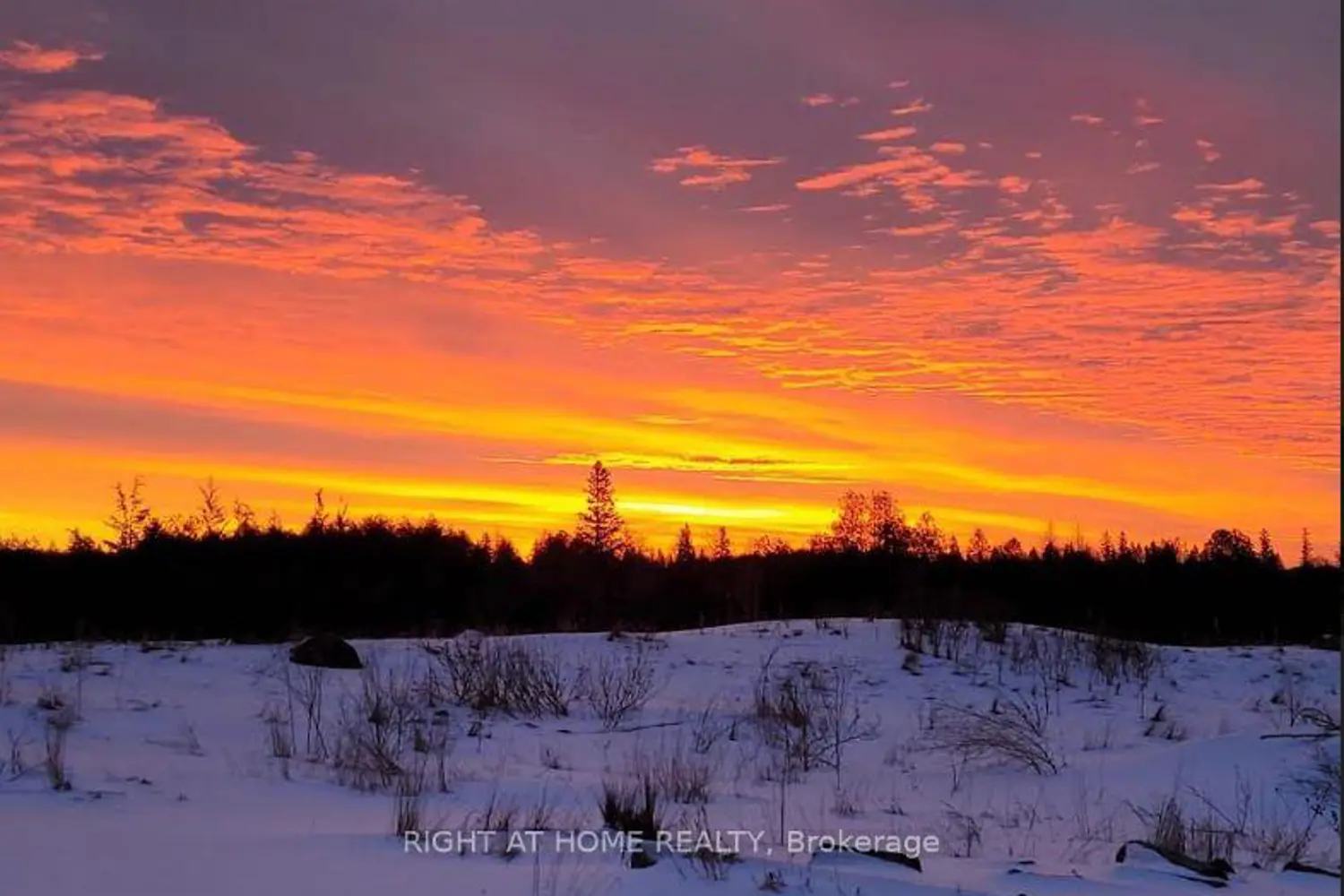 Additional image 2 of 53 Scarlett Line