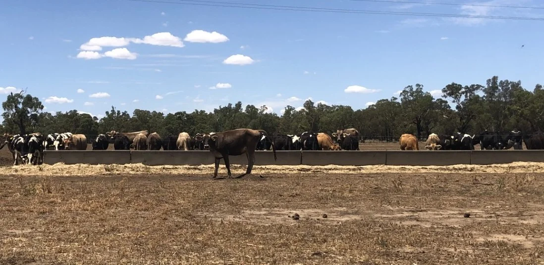 Additional image 10 of 10690 The Escort Way, Forbes NSW 2871