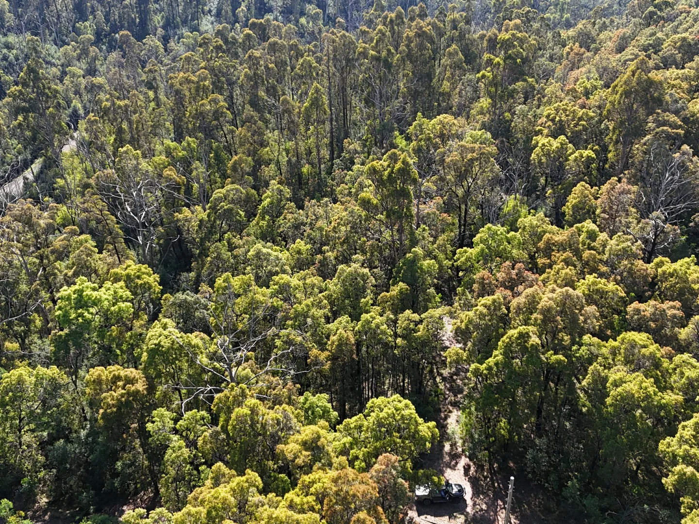 Additional image 9 of Lot 3 DP1128262 Yowrie Road, Yowrie NSW 2550