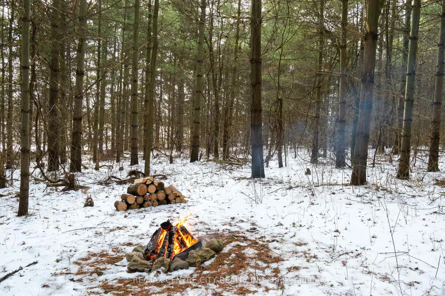 Additional image 9 of Pt Lt 24 Concession 5