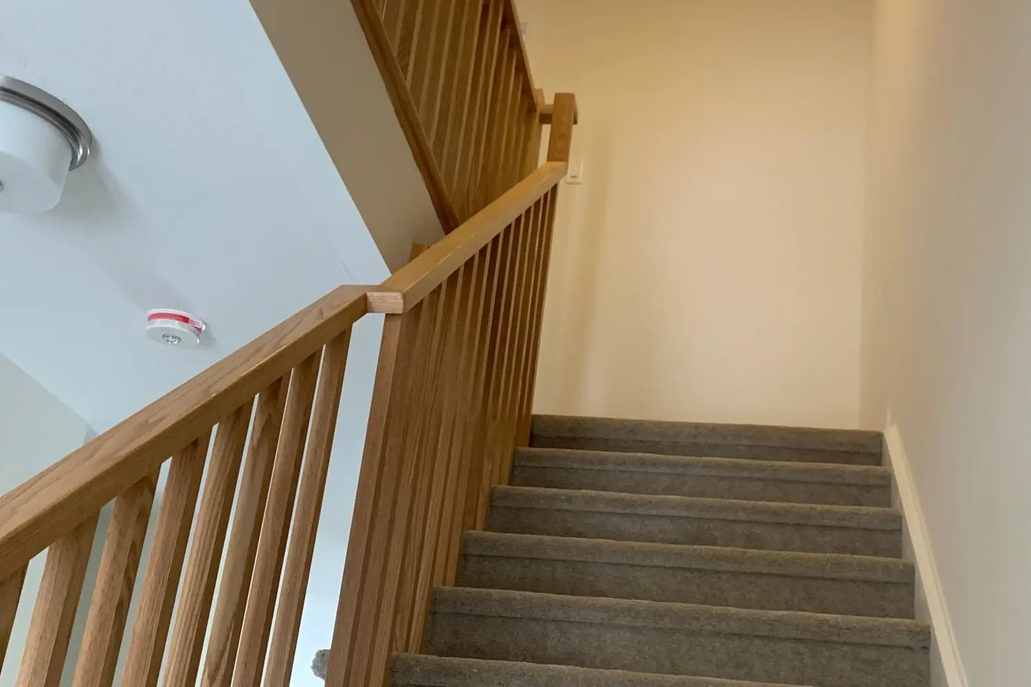 Additional image 3 of 60 Mckernan Avenue