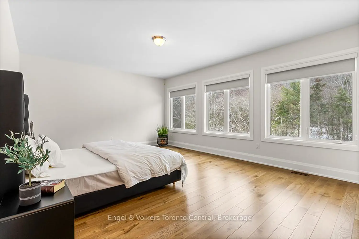 Additional image 6 of 110 Dorothy Drive