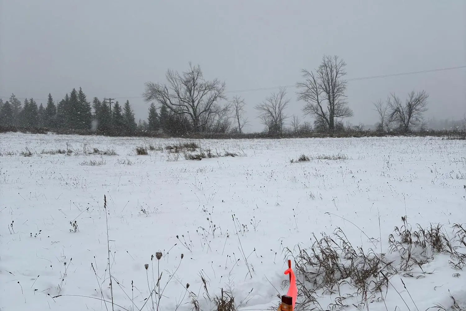 Additional image 4 of 0 Douro Third Line