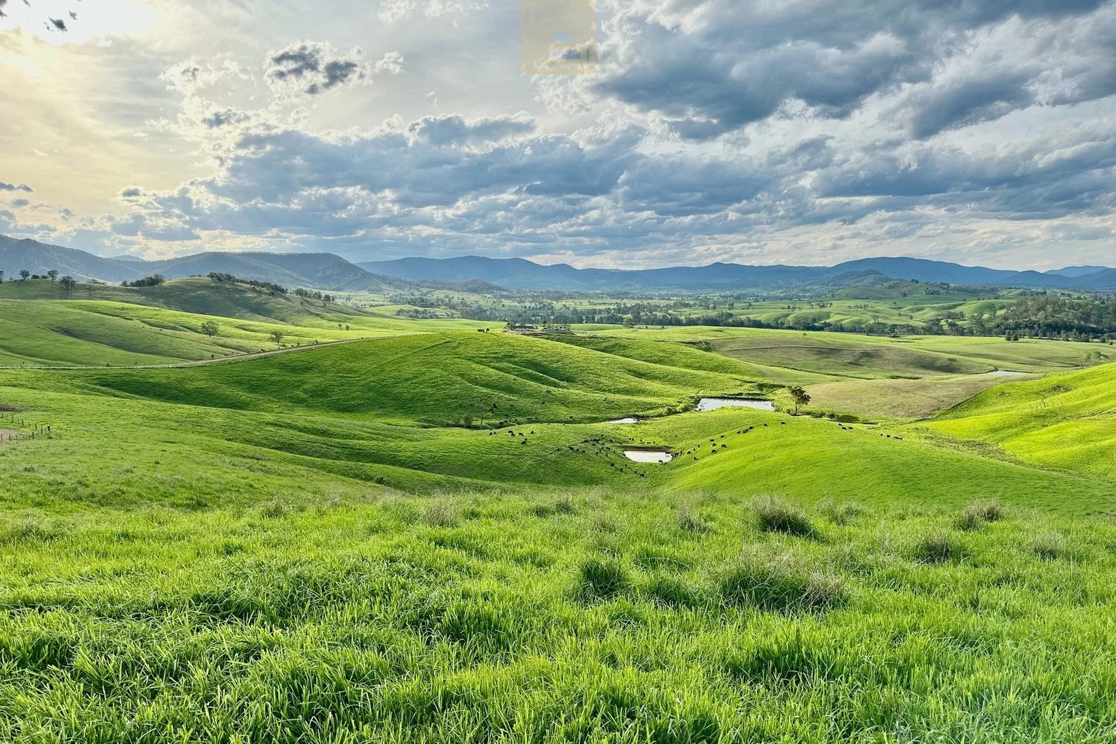 455 The Bucketts Way, Gloucester NSW 2422