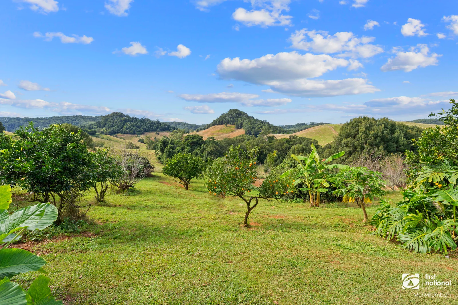 Additional image 19 of 584 Nobbys Creek Road, Nobbys Creek NSW 2484