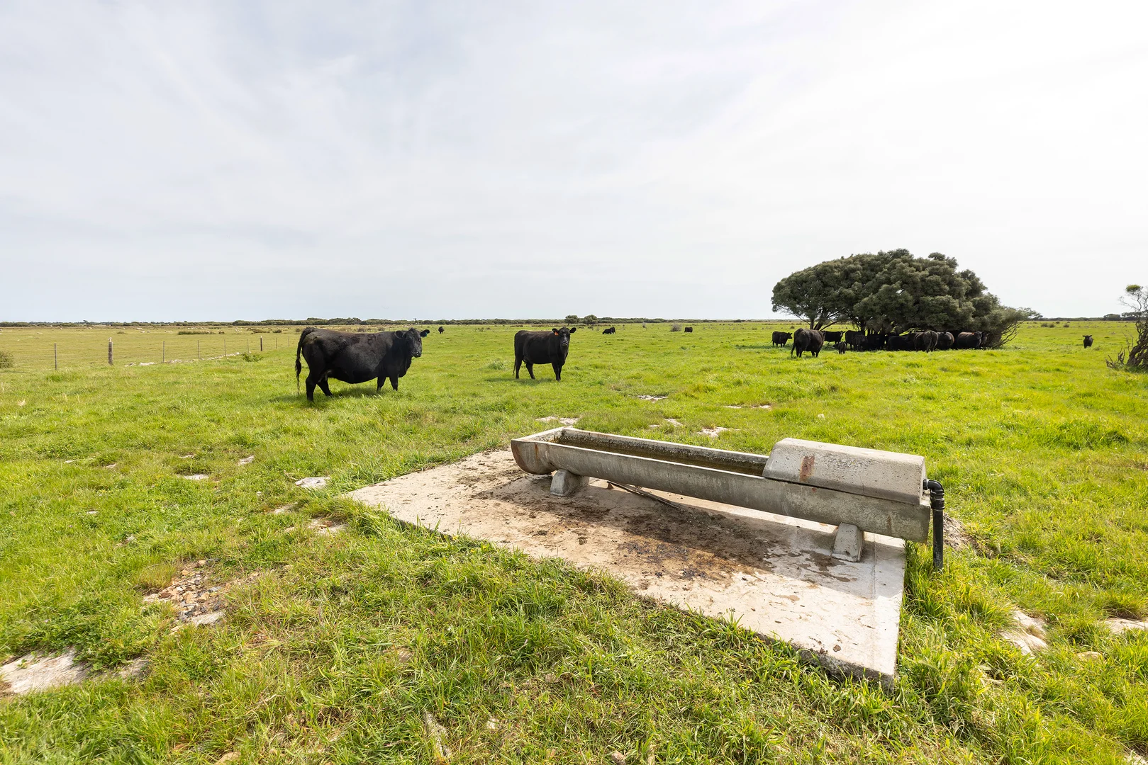 Additional image 7 of 18462 Princes Highway, Kingston Se SA 5275