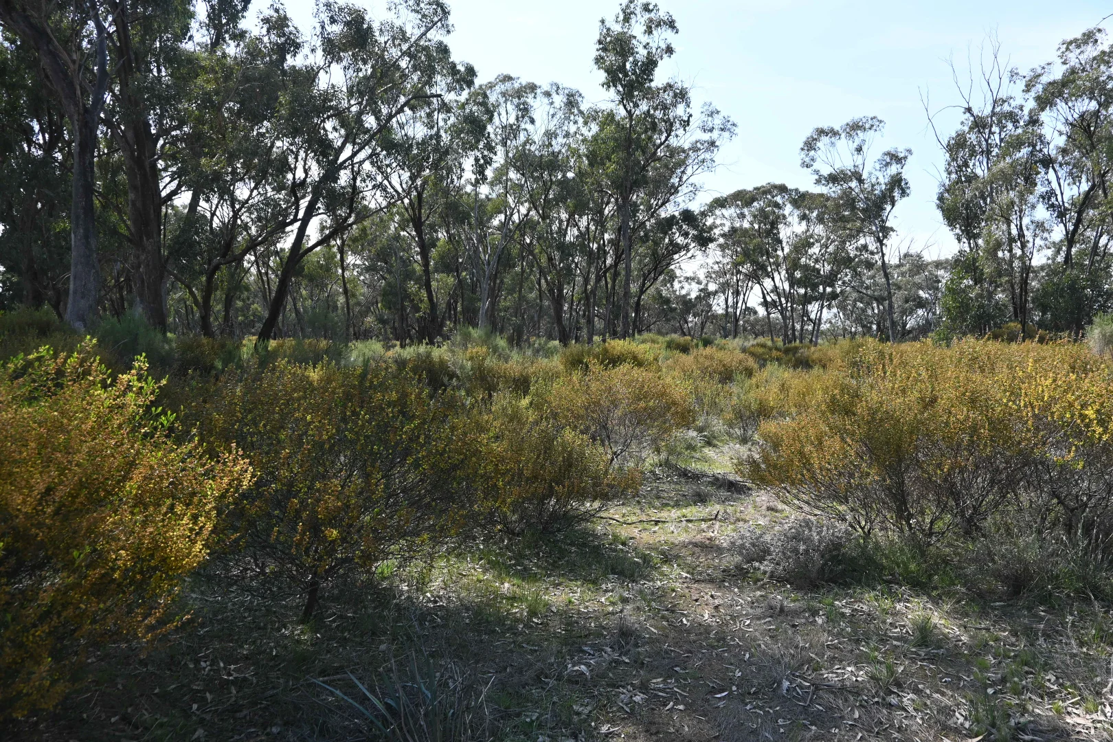 Additional image 8 of 17, A KURTING KINGOWER ROAD, Kingower VIC 3517