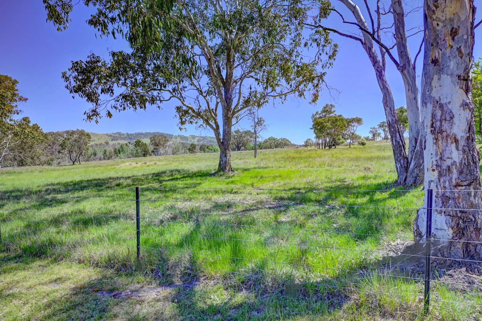 Additional image 34 of 3834 New England Highway, Bendemeer NSW 2355