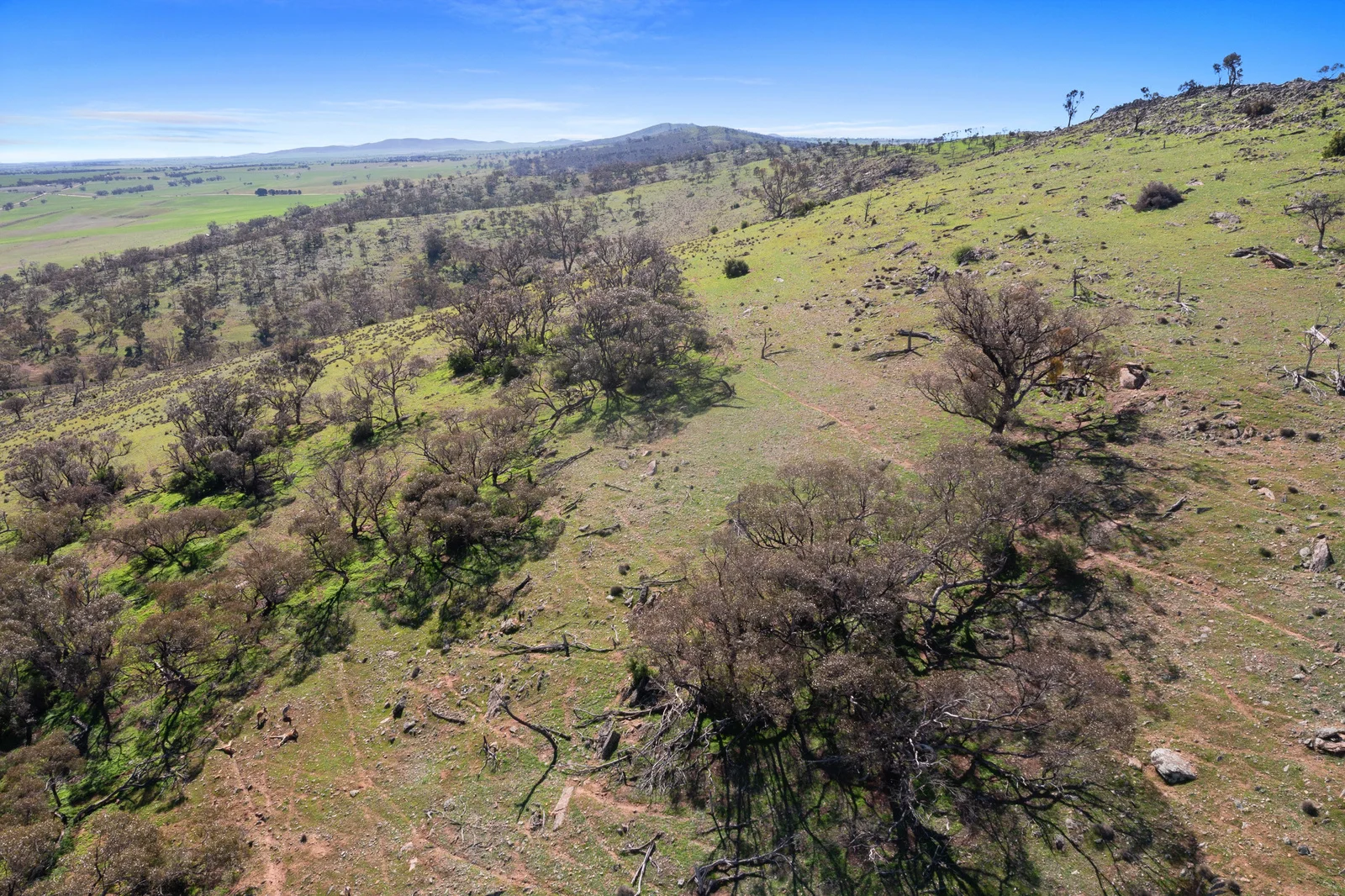 Additional image 17 of 235e Appila-Tarcowie Road, Tarcowie SA 5431