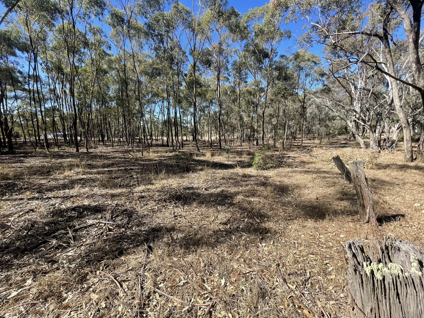 Additional image 22 of 1 Corner Wimmera Highway & Carr Road, St Arnaud VIC 3478
