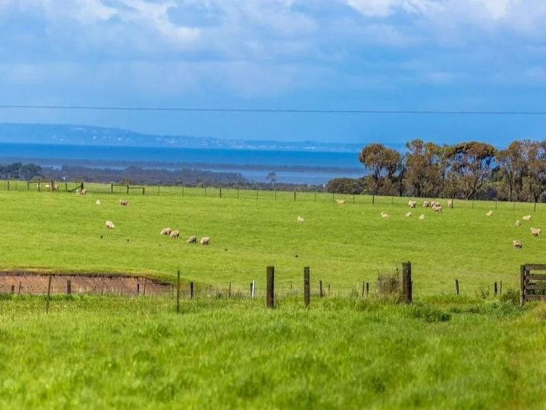 Additional image 3 of 42-90 Banks Road, Drysdale VIC 3222