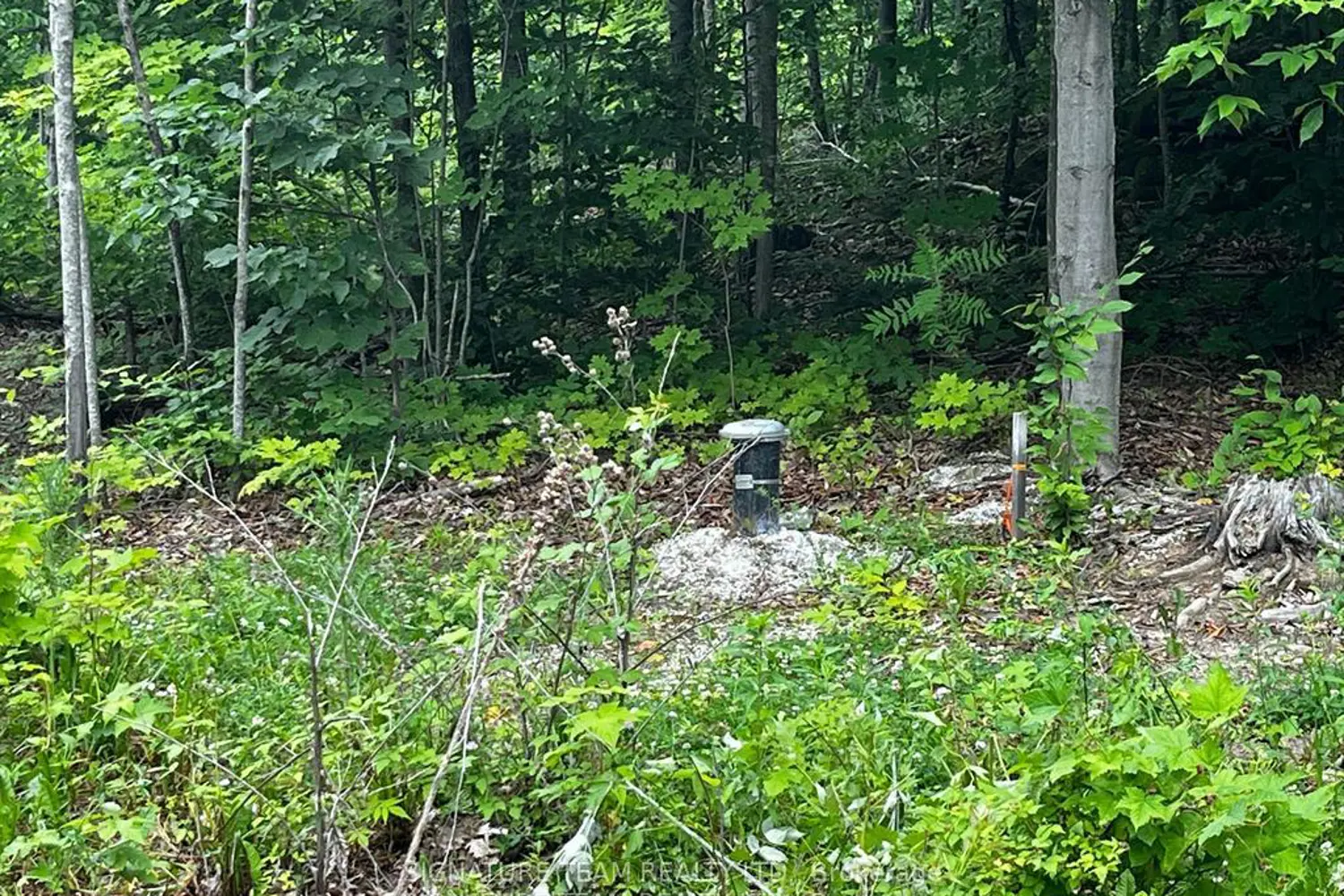 Additional image 5 of 90 Broome Road