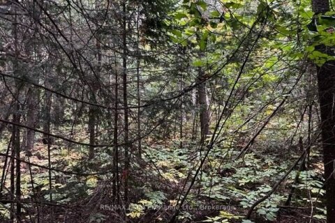 Additional image 7 of 4 Shore Road, Saugeen Shores, ON, N0H 2L0