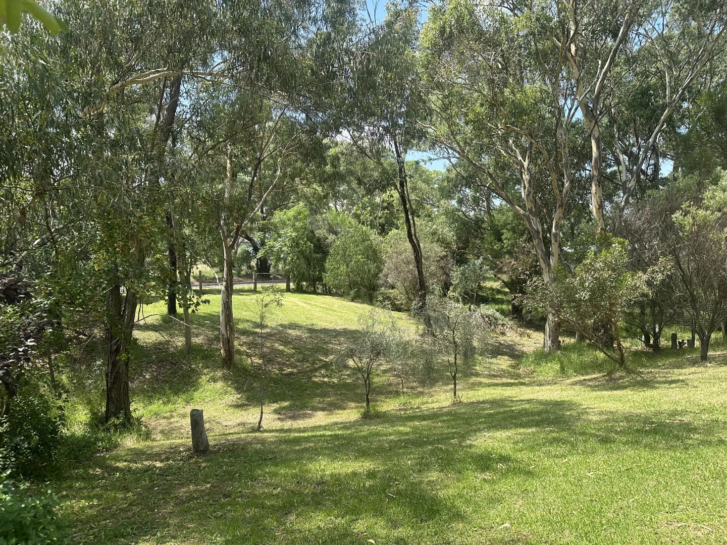 Additional image 8 of Cloudy Hill/82 Goddard Street, Coolah NSW 2843