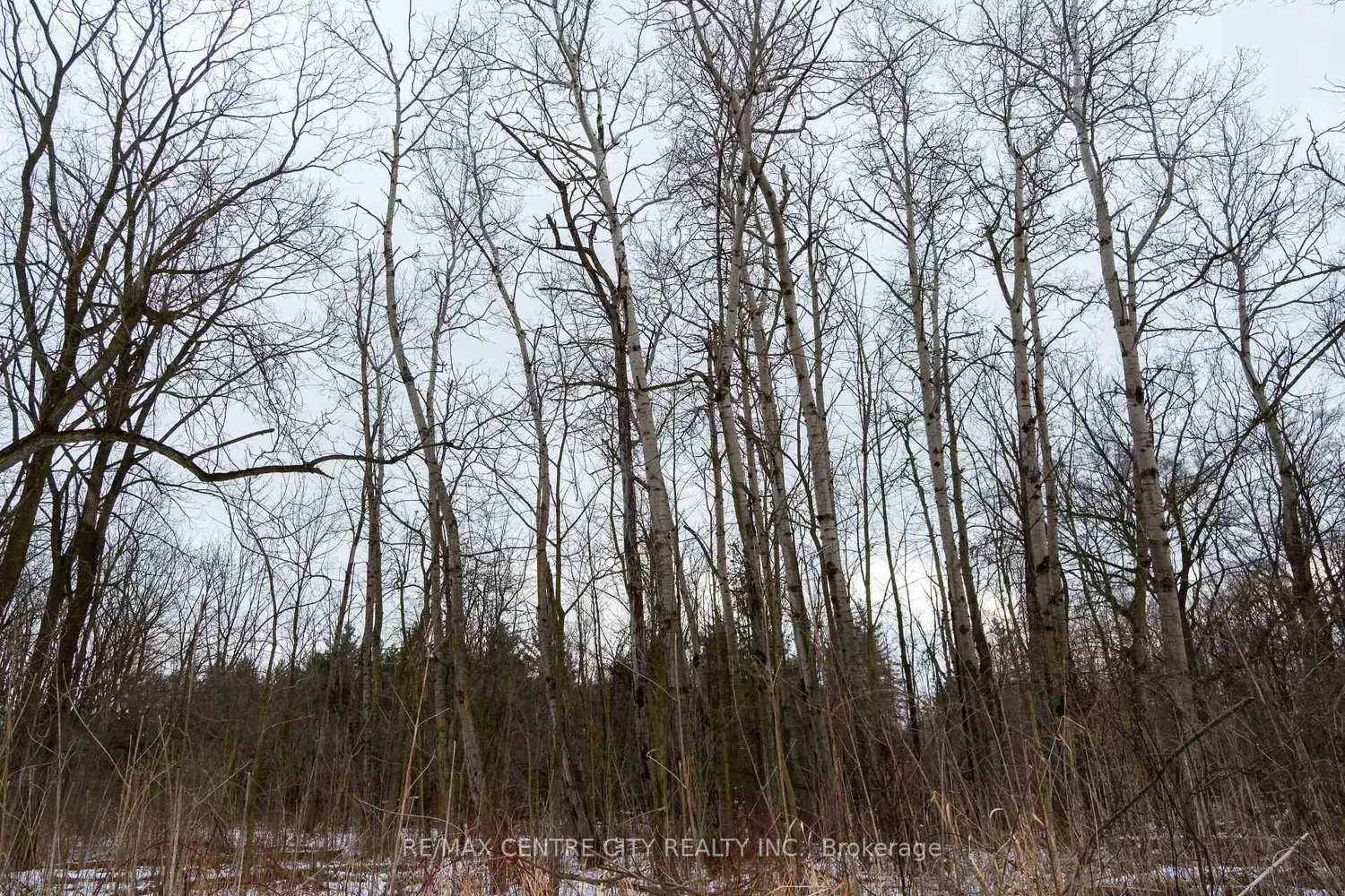 Additional image 20 of Pt Lt 24 Concession 5