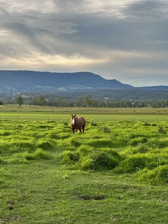 Additional image 16 of 119 Duck Creek Road, Old Bonalbo NSW 2469