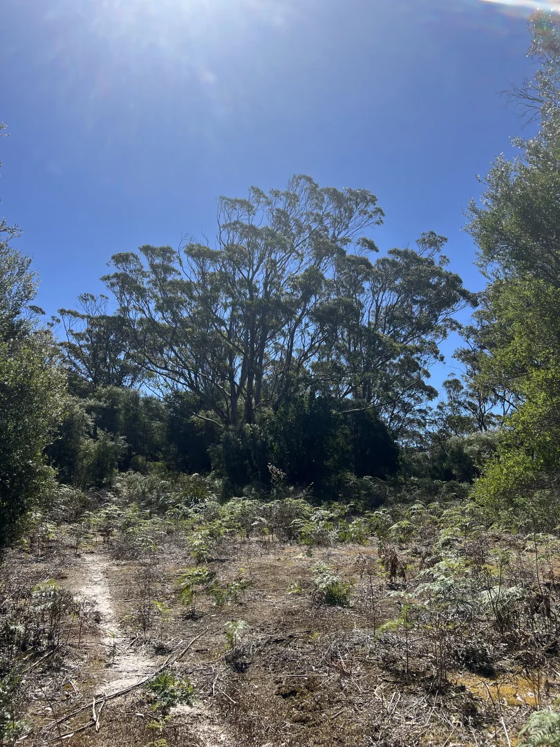 Additional image 5 of PID 6423792 Fairhaven Road, Memana TAS 7255