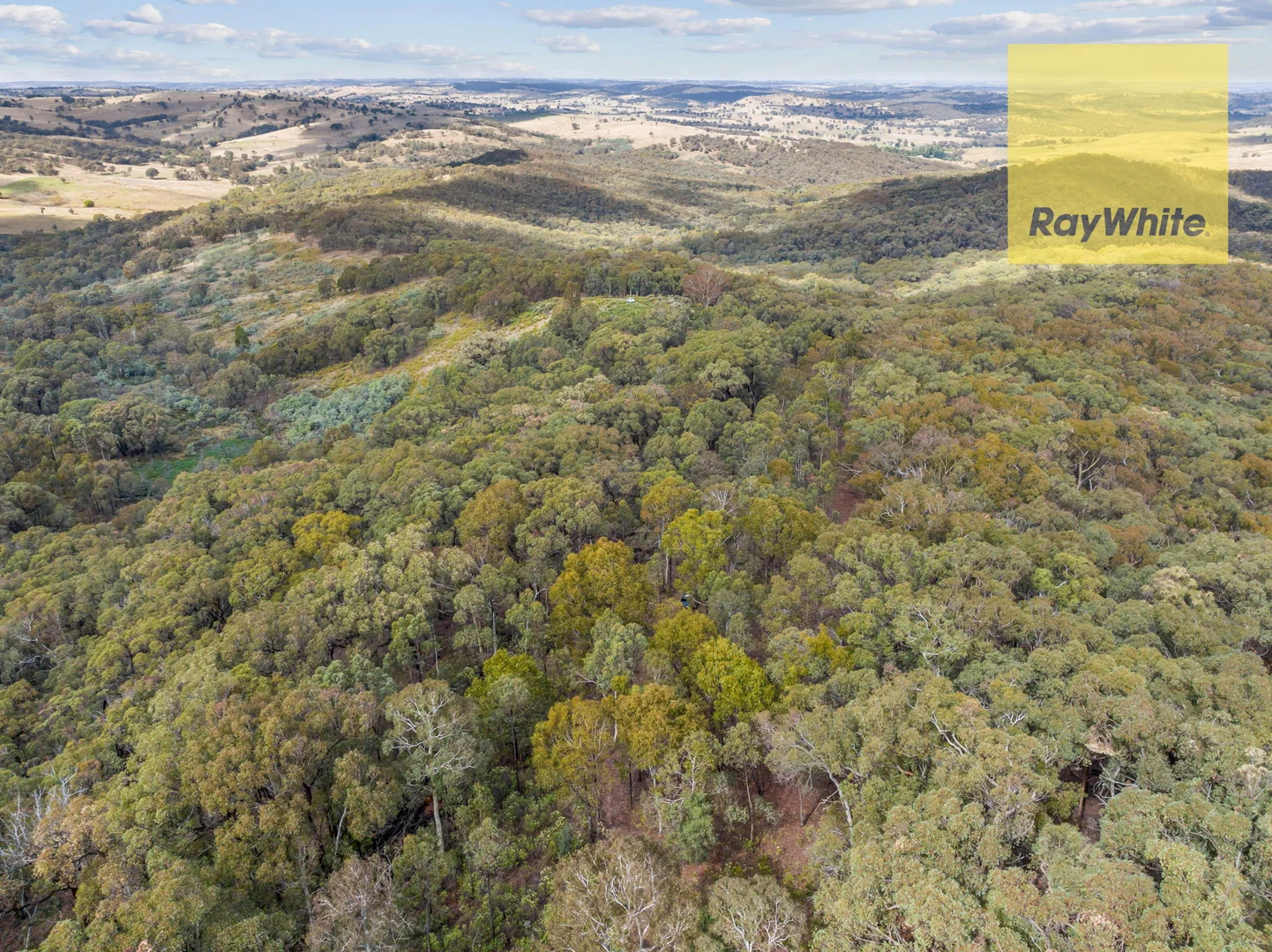 Additional image 22 of 1013 Bigga Road, Crooked Corner NSW 2583