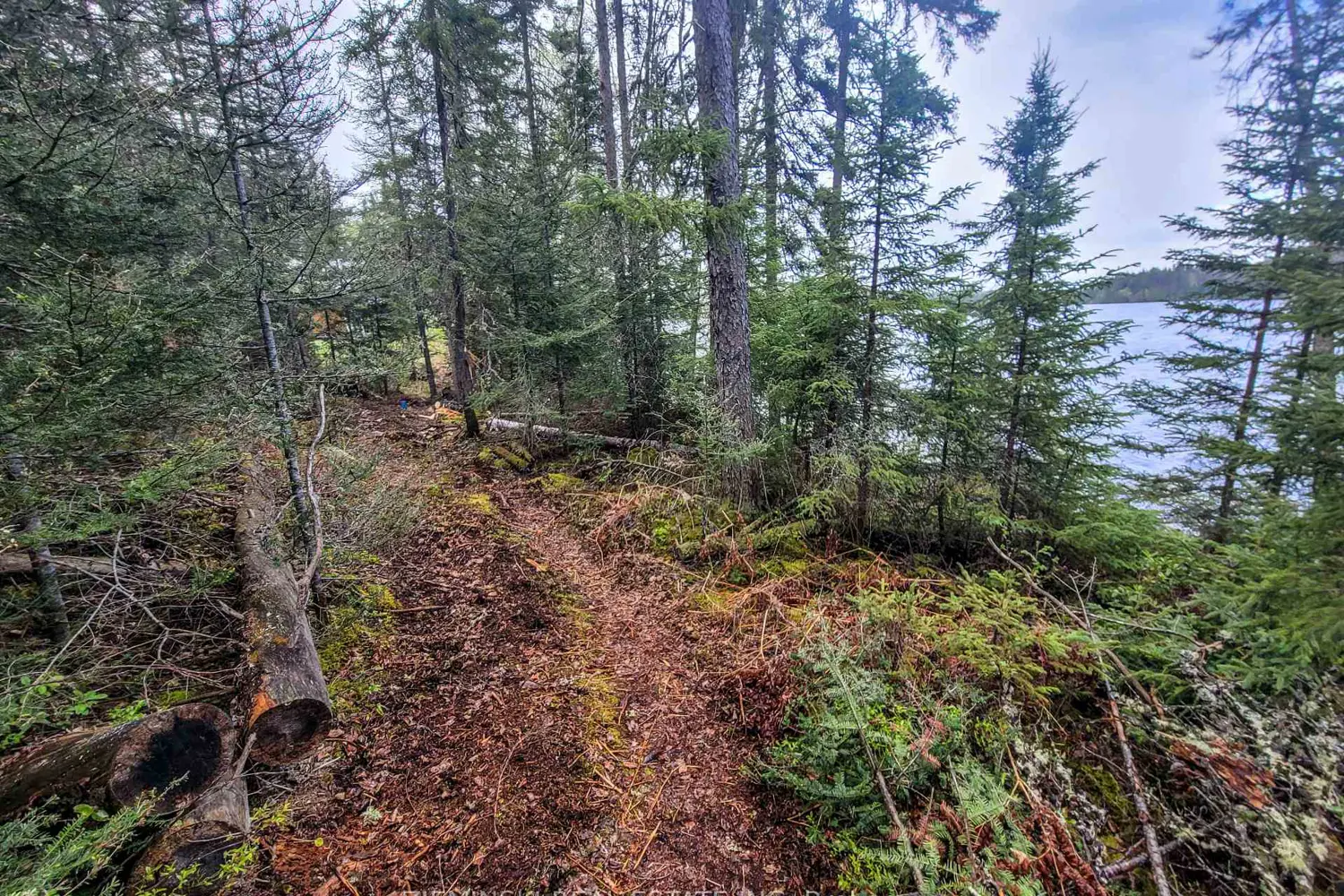 Additional image 12 of Lot 5 Baden Plan 54M331