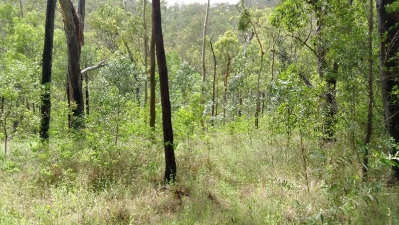 Additional image 7 of 188 Doughboy Road, Gin Gin QLD 4671