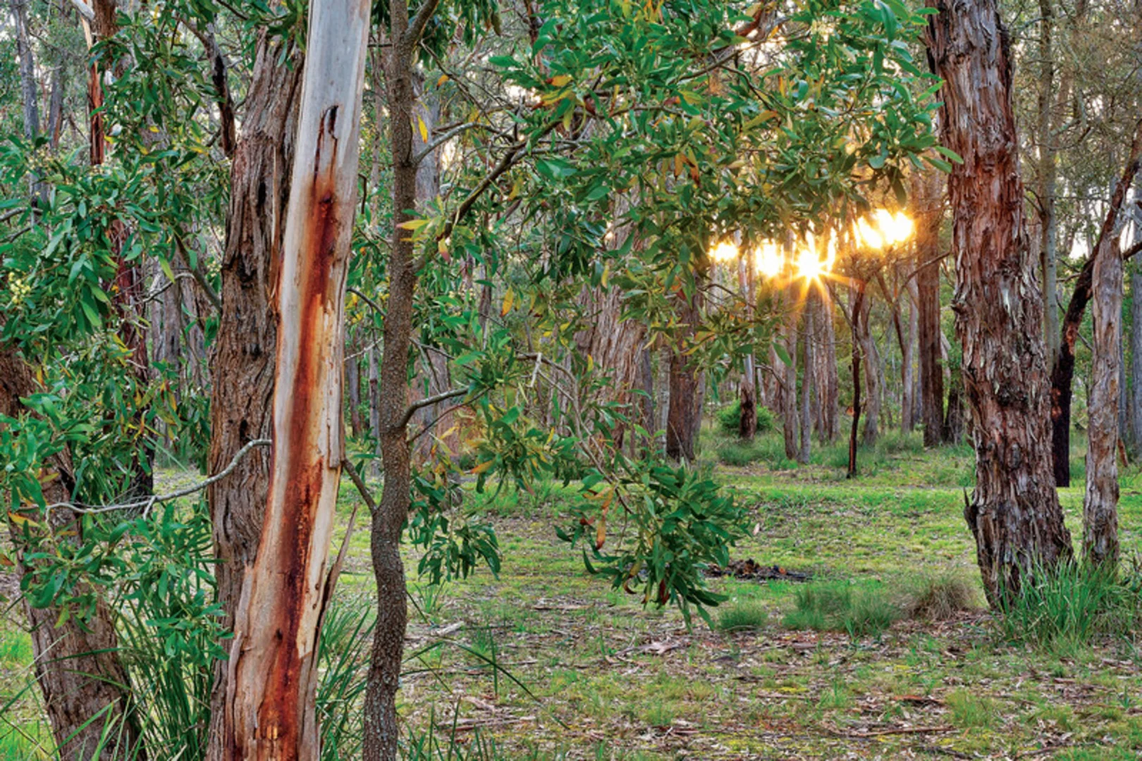 Additional image 19 of 45 Stonier Road, Ross Creek VIC 3351
