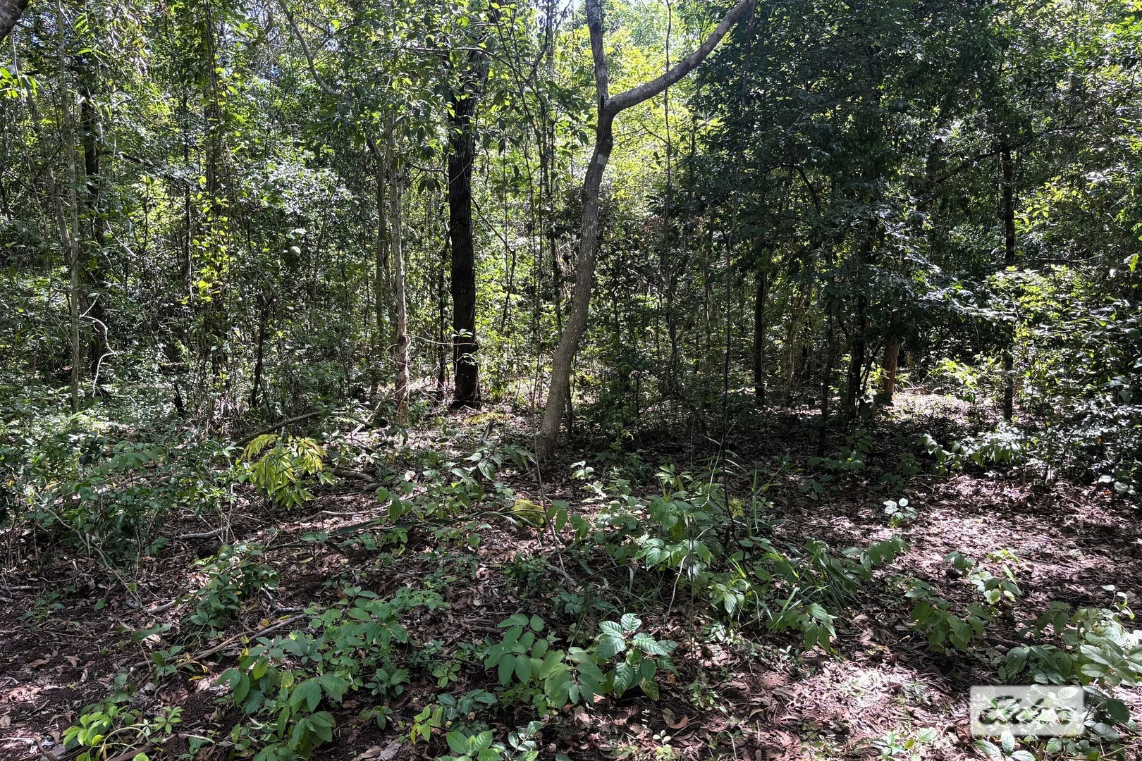 Additional image 9 of 150 Moollock Road, Dundee Beach NT 0840