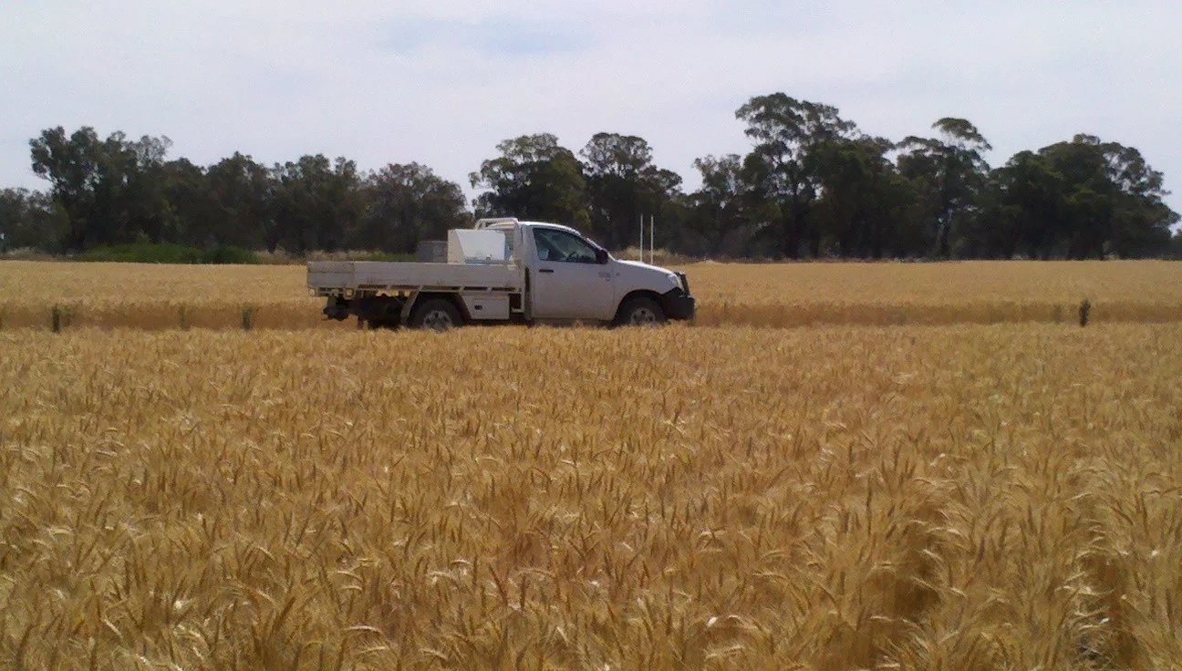 Additional image 7 of 10690 The Escort Way, Forbes NSW 2871