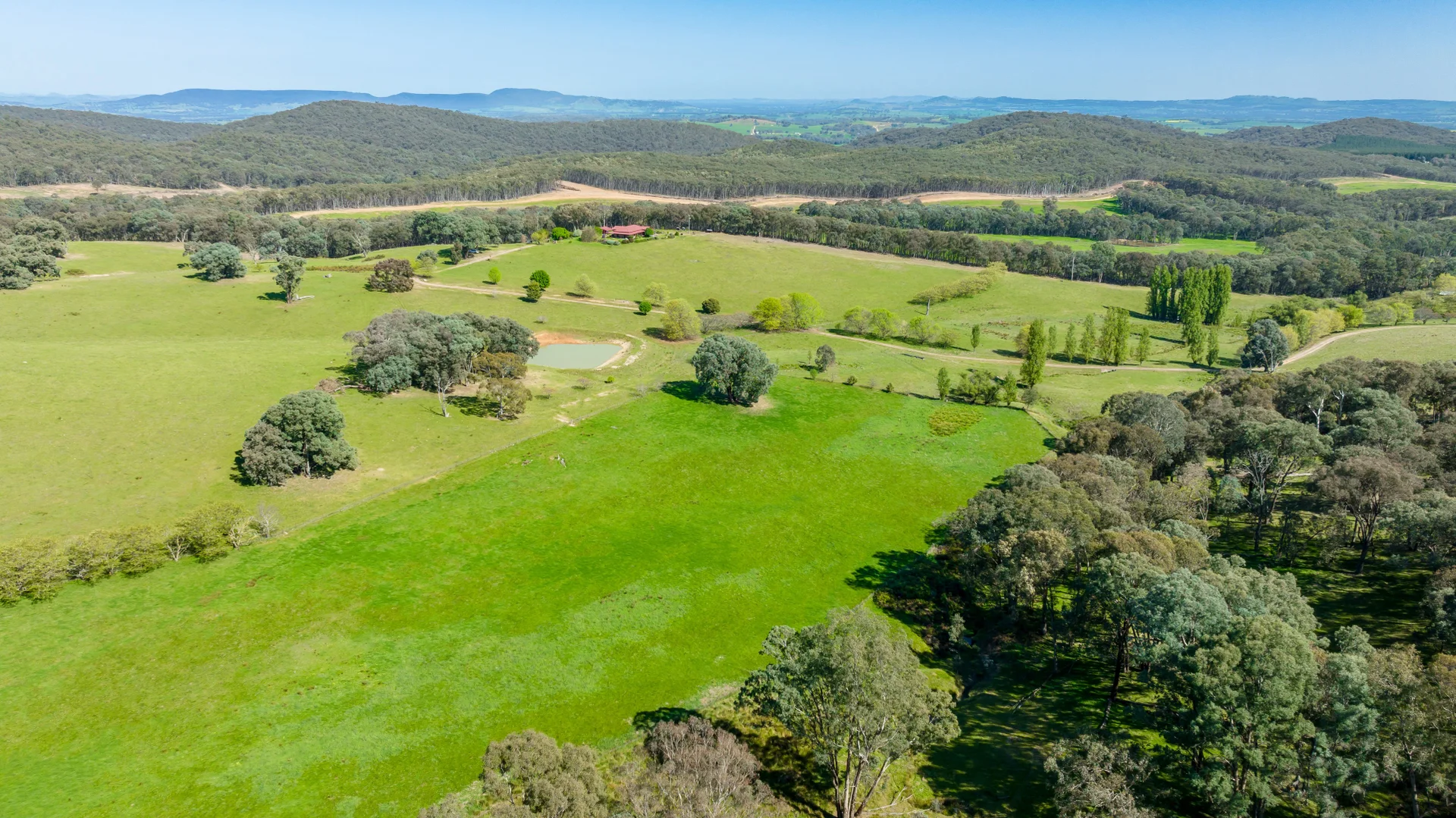 Additional image 24 of 1596 Four Mile Lane, Little Billabong NSW 2644