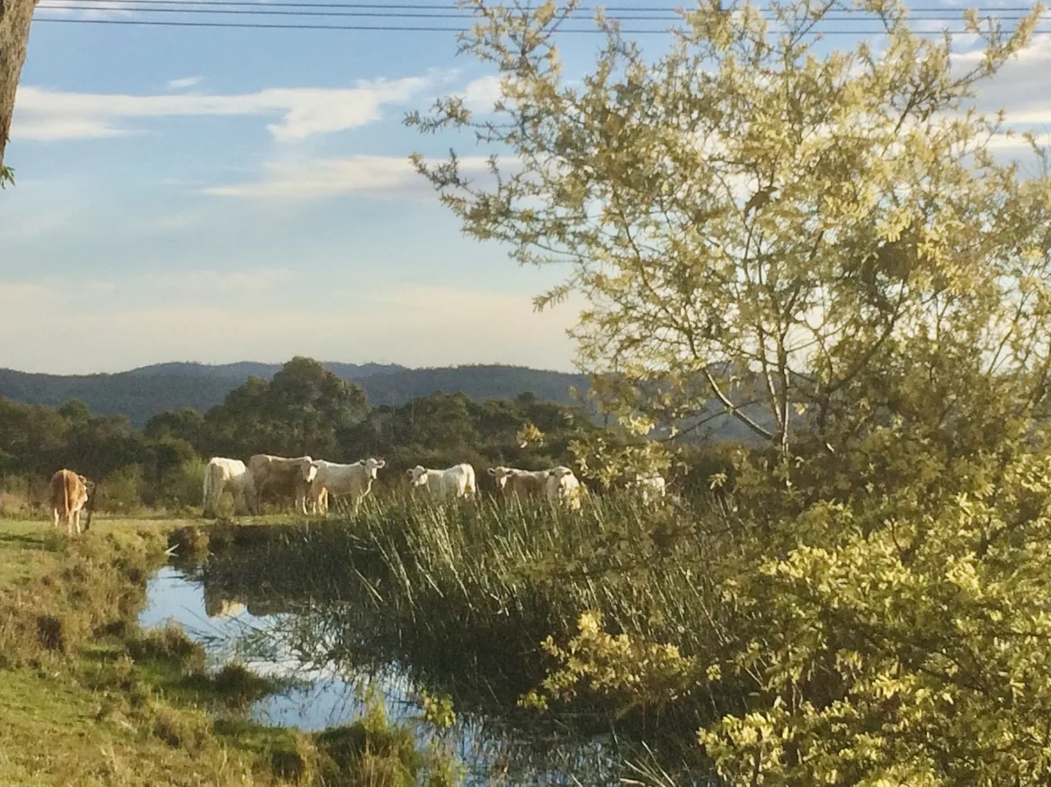 Additional image 10 of 63 Ghilkes Road, Somersby NSW 2250