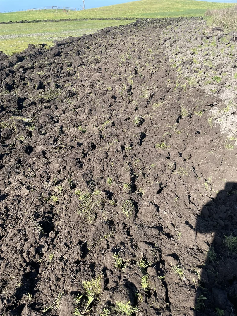 Additional image 11 of 175 Pethers Lane, Millicent SA 5280