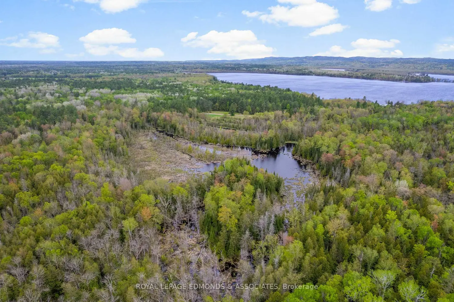 Additional image 8 of 0000 Nangor Trail