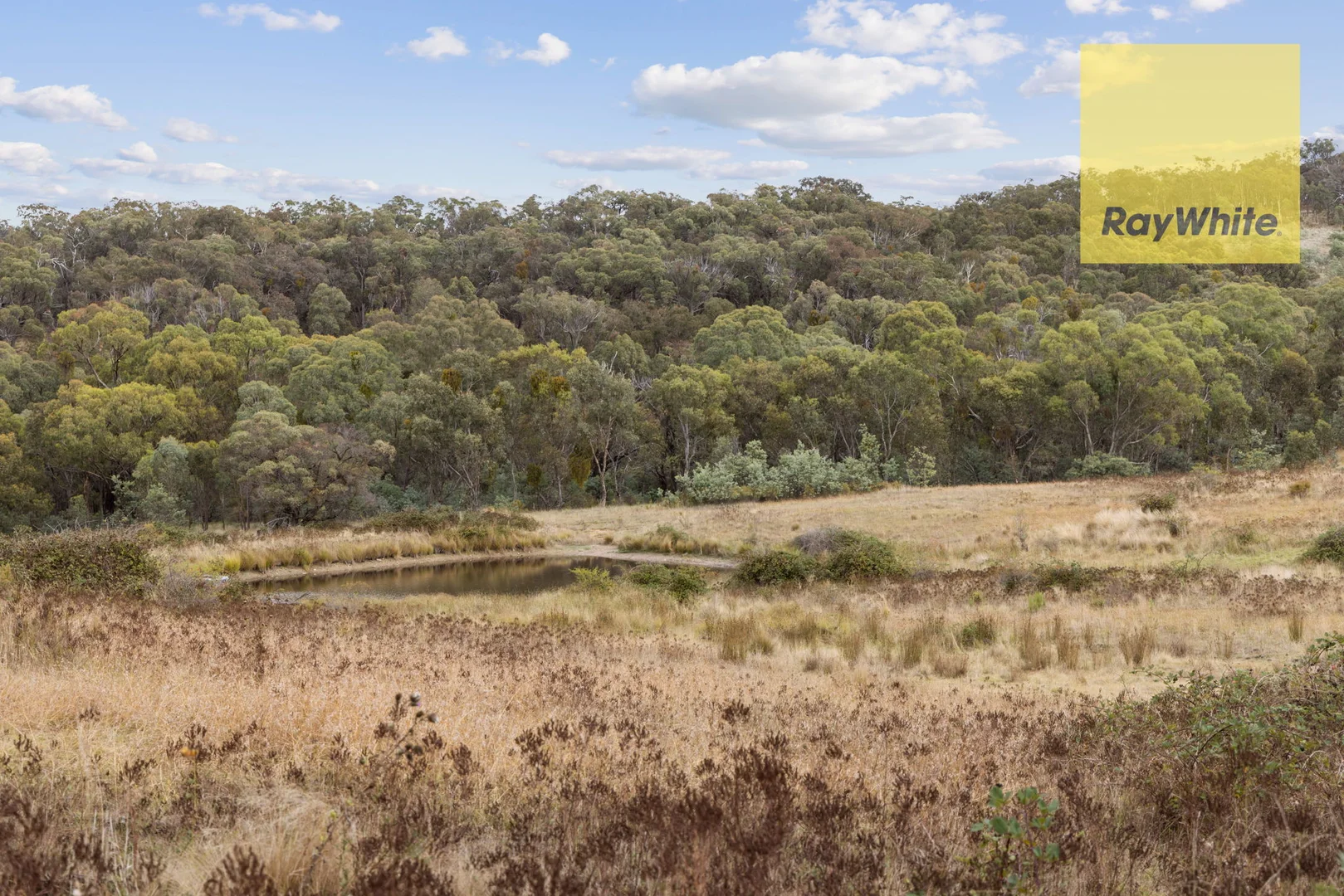 Additional image 17 of 1013 Bigga Road, Crooked Corner NSW 2583