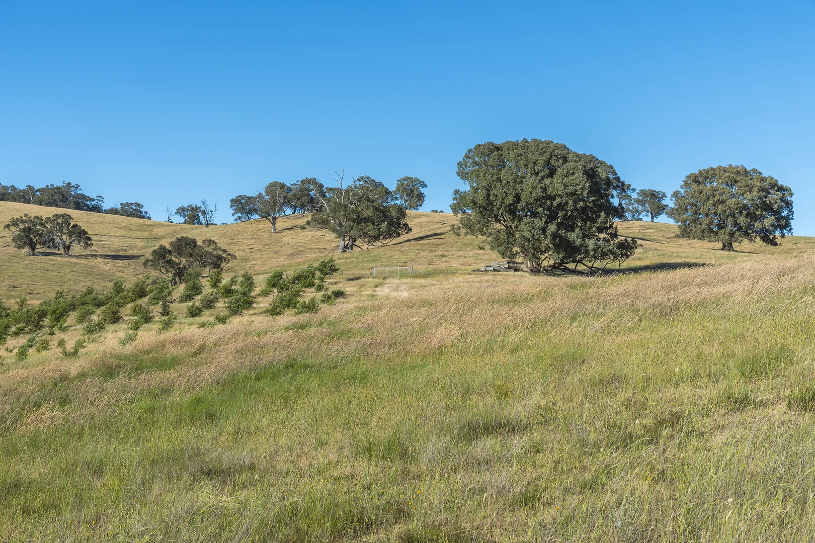 Additional image 6 of 679 Dallistons Road, Barfold VIC 3444