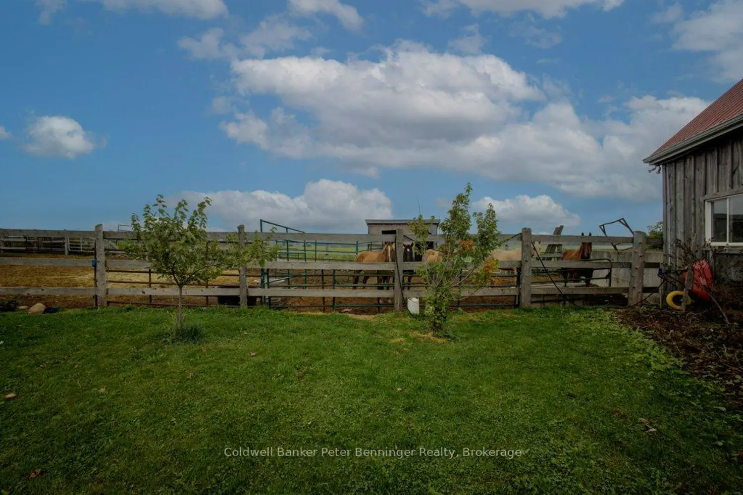 Additional image 13 of 185197 Grey Road 9 Road