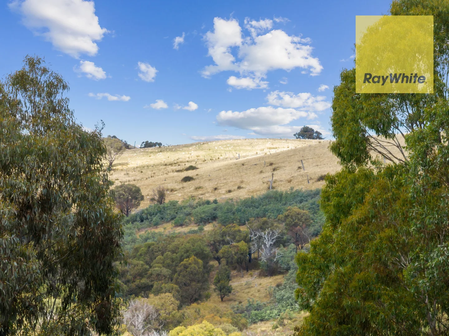 Additional image 26 of 1013 Bigga Road, Crooked Corner NSW 2583