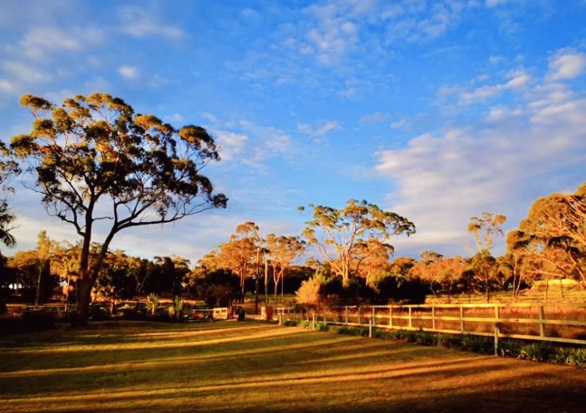 Additional image 14 of 63 Ghilkes Road, Somersby NSW 2250