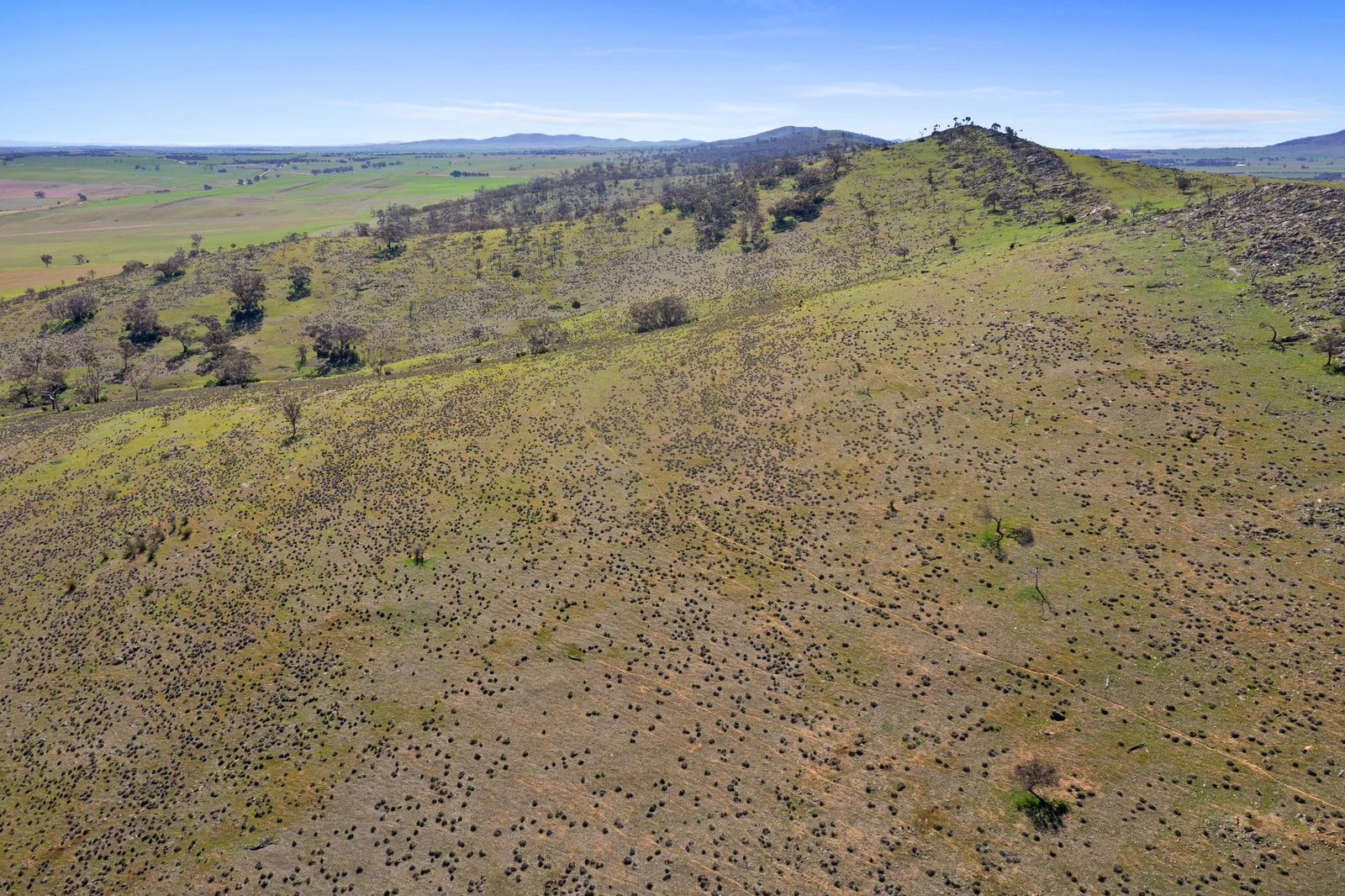 Additional image 20 of 235e Appila-Tarcowie Road, Tarcowie SA 5431