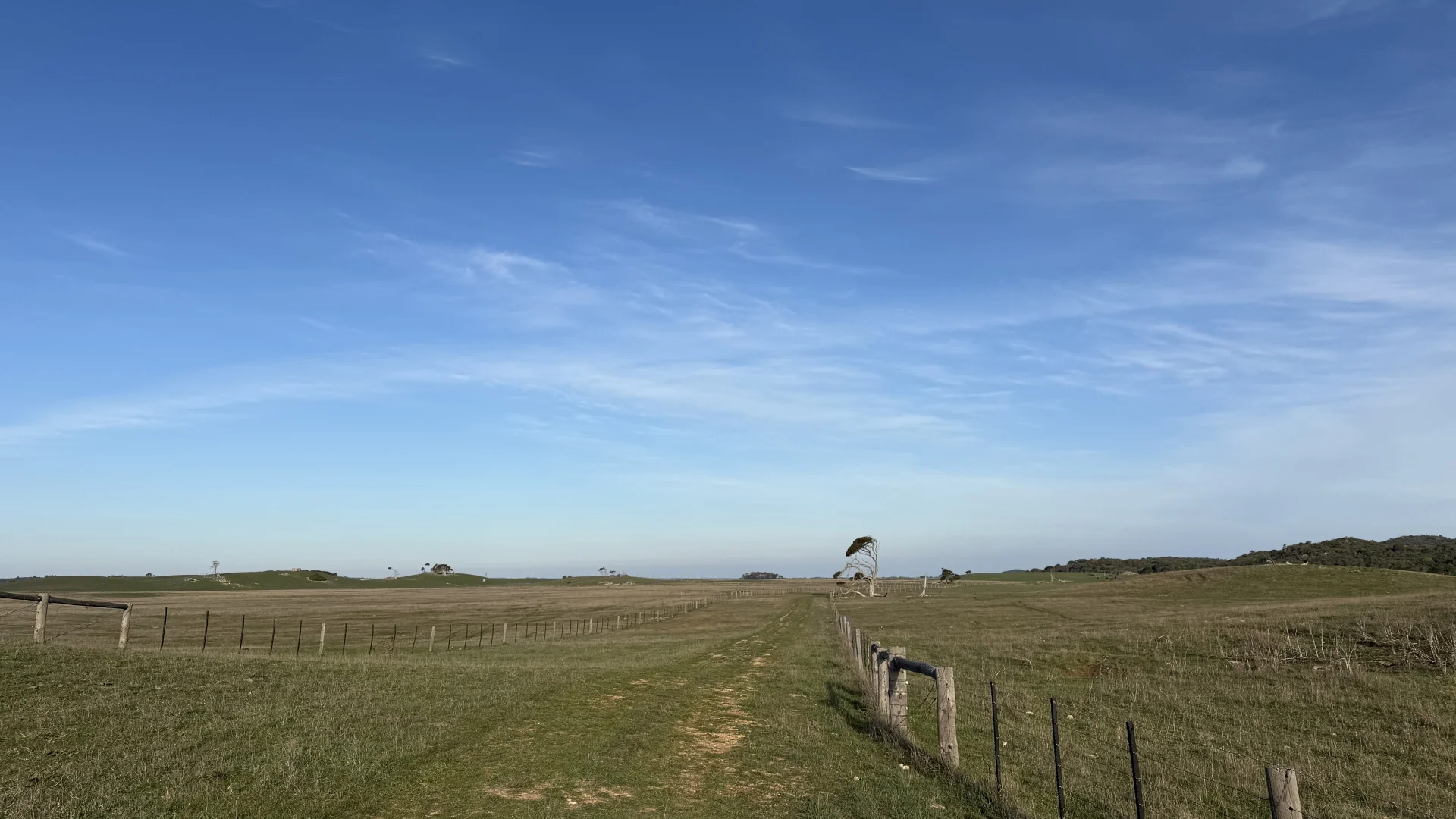 Additional image 14 of 175 Pethers Lane, Millicent SA 5280