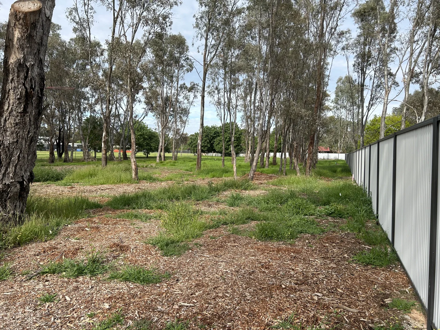 Additional image 5 of Lot 4/134 Winton Glenrowan Road, Winton VIC 3673
