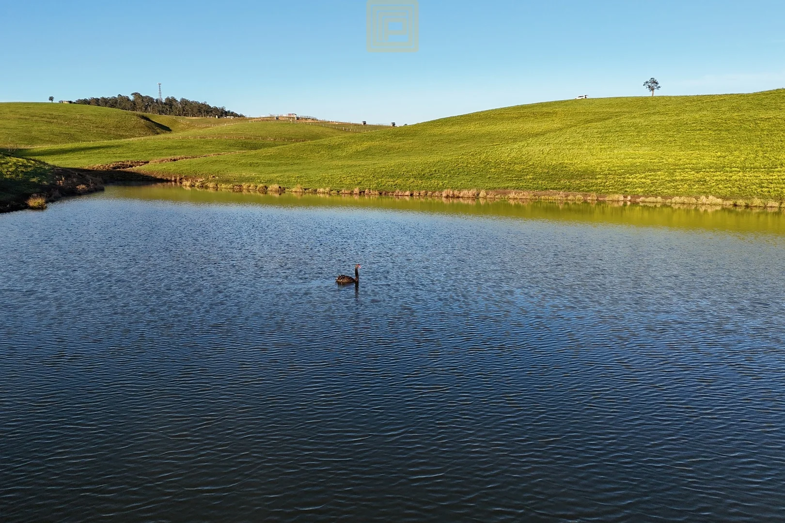 Additional image 14 of 455 The Bucketts Way, Gloucester NSW 2422