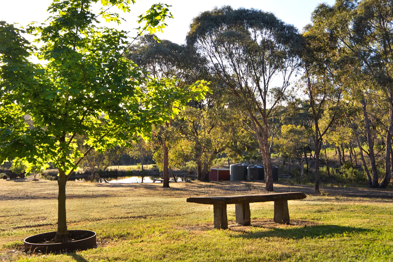 Additional image 7 of 1 Coy Street, Golden Point VIC 3451