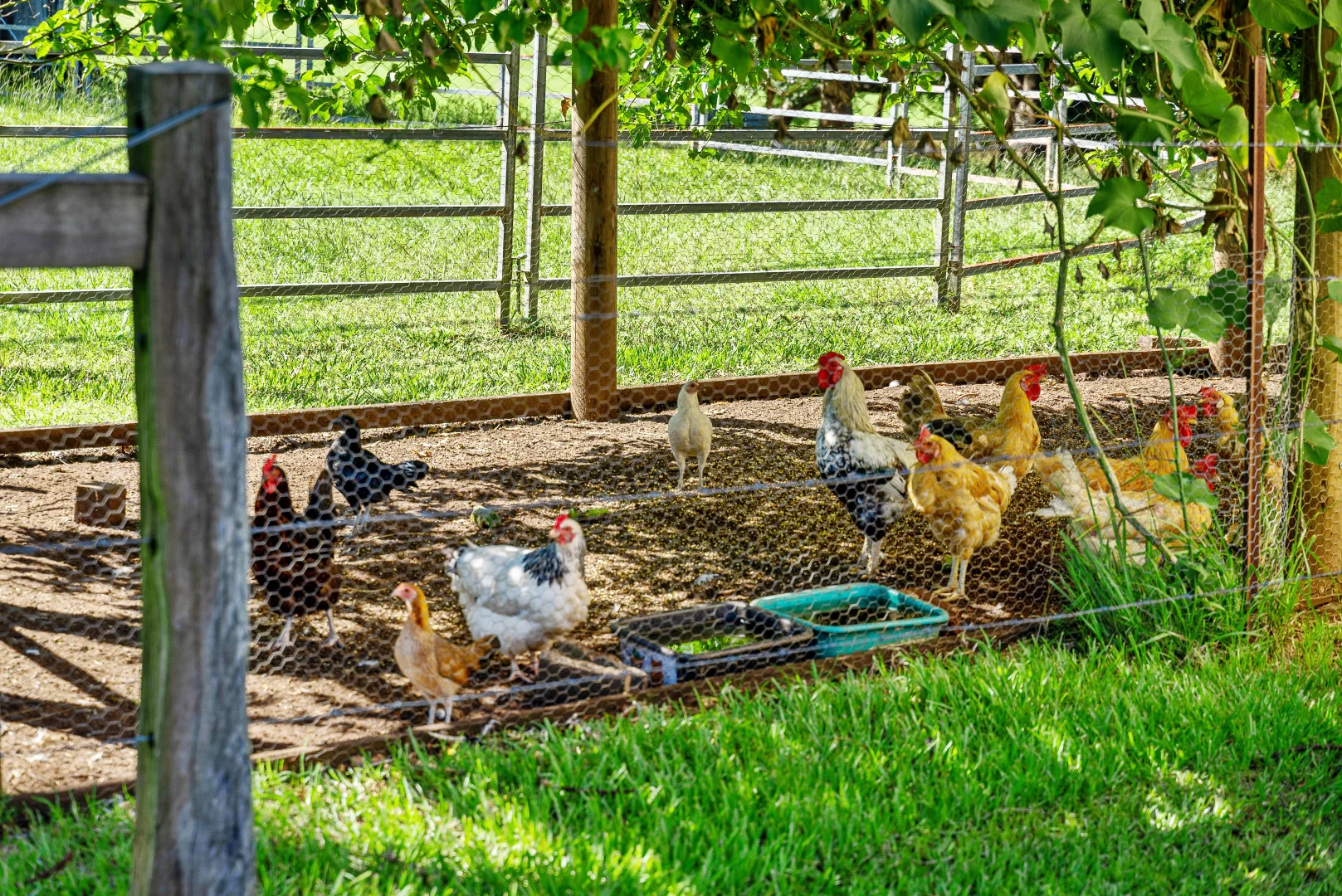 Additional image 25 of 13150 Summerland Way, Kyogle NSW 2474