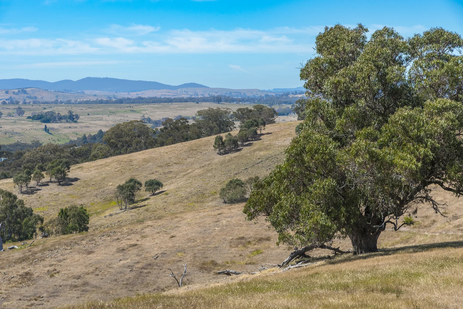 Additional image 17 of 679 Dallistons Road, Barfold VIC 3444