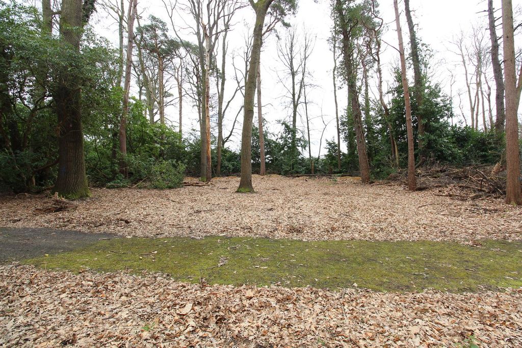 Additional image 2 of Land to rentCrawley Hill, West Wellow, Romsey SO51