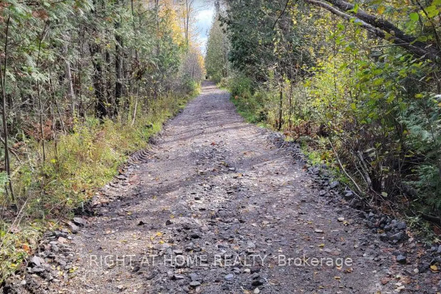 Additional image 4 of 53 Scarlett Line