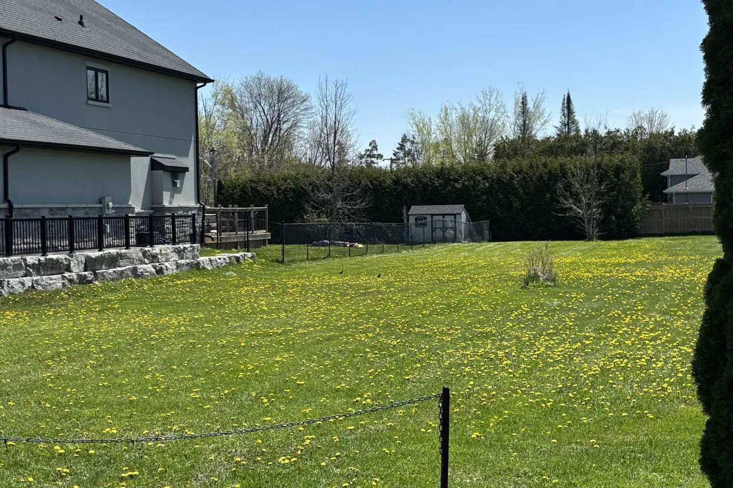 Additional image 6 of 7657 Black River Road